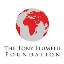 Tony Elumelu Foundation logo